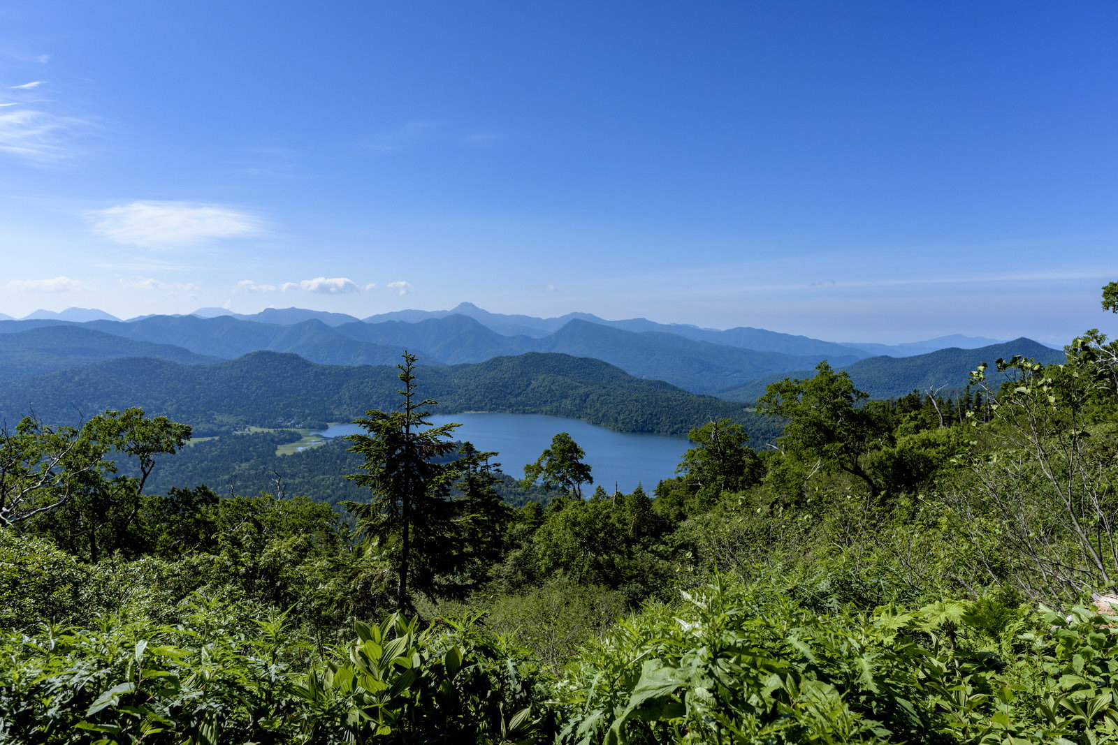 快晴の青空の下、緑豊かな山々に囲まれた尾瀬沼の風景