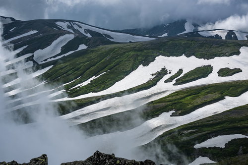 残雪と新緑が縞模様を描く大雪山旭岳の山肌