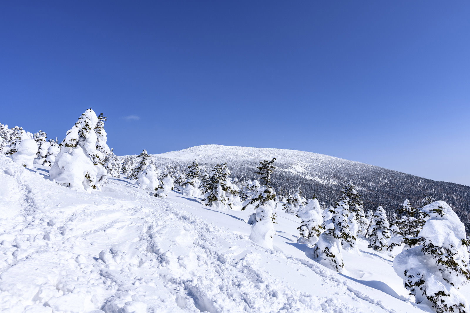 深い雪に覆われた西吾妻山の山頂付近と澄んだ青空の冬山風景