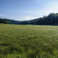 早朝の尾瀬の湿原と燧ヶ岳を望む山々の風景の写真