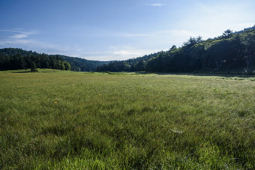 早朝の尾瀬の湿原と燧ヶ岳を望む山々の風景