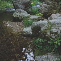 白賀渓谷の河辺を流れる清流と苔むした岩場の写真