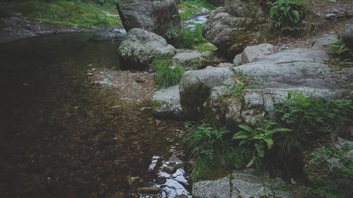 白賀渓谷の河辺を流れる清流と苔むした岩場