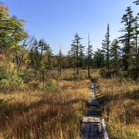 黄葉のデコ平湿原（西吾妻山・日本百名山）の写真