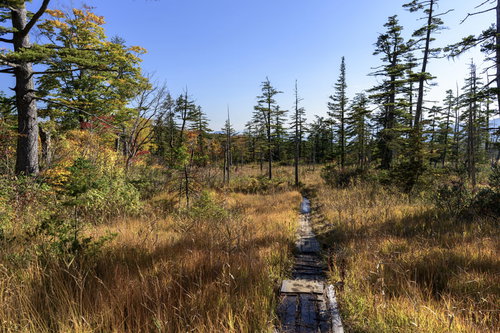 黄葉のデコ平湿原（西吾妻山・日本百名山）