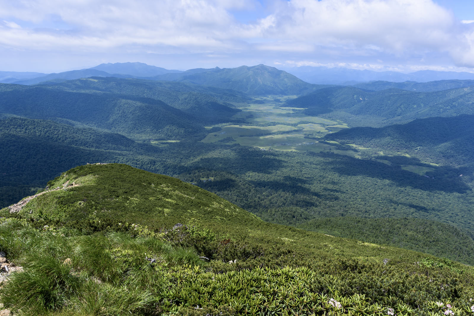 燧ヶ岳山頂から望む尾瀬ヶ原の緑豊かな高原風景