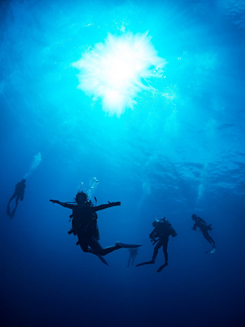 青い海中を浮遊するダイバーたちのシルエットと海面から差し込む太陽光