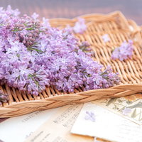 竹製トレーに飾ったライラックの花房と季節の花々の写真