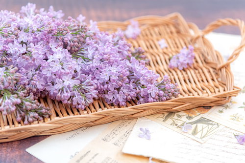竹製トレーに飾ったライラックの花房と季節の花々