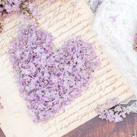 白い便箋に淡い紫のライラックの花で作るハートの写真