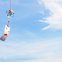 澄んだ青空に揺れる彩色風鈴、夏の涼を呼ぶ和風装飾の写真
