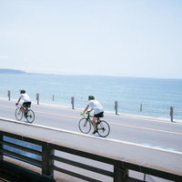 海岸沿いの車道をロードバイクでサイクリングの写真