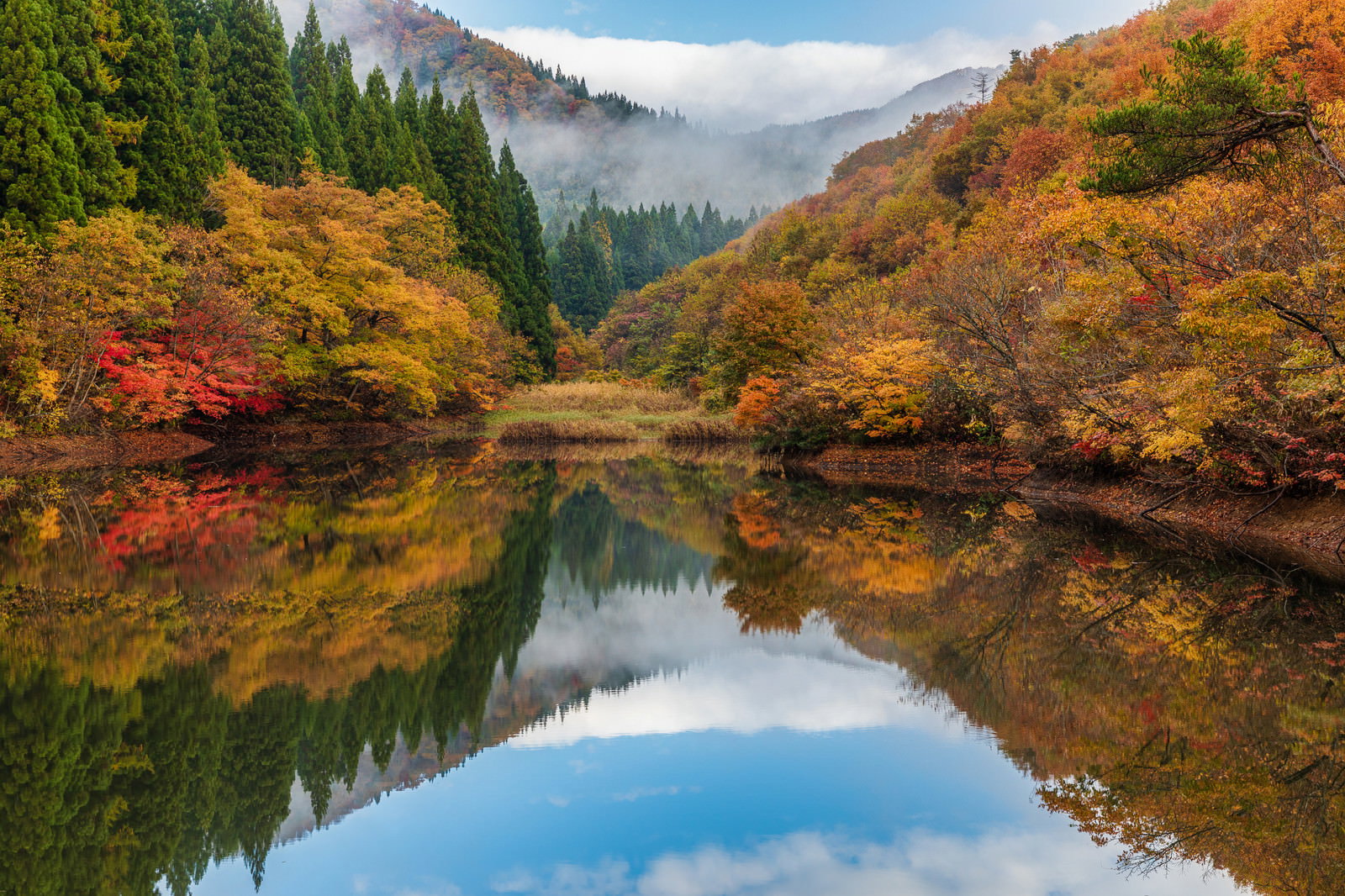 赤や黄色の紅葉が静かな水面に映り込むため池の秋の風景