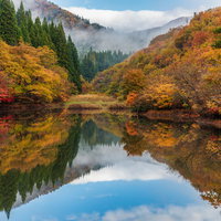 紅葉が映り込むため池の水鏡 - 秋の静寂を映す水面の写真