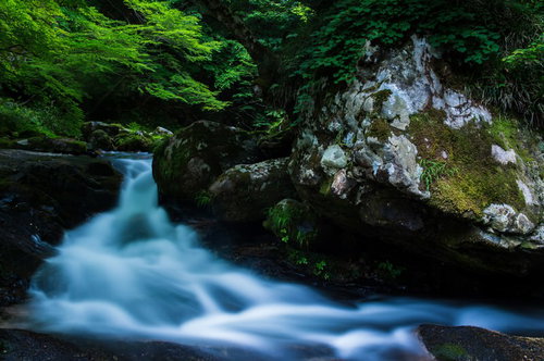 白賀渓谷、新緑と岩の間を流れる清流と苔むした渓谷美