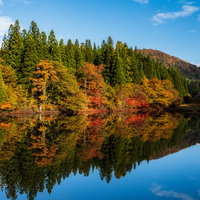 秋の紅葉が水鏡に映るため池の風景と青空の写真