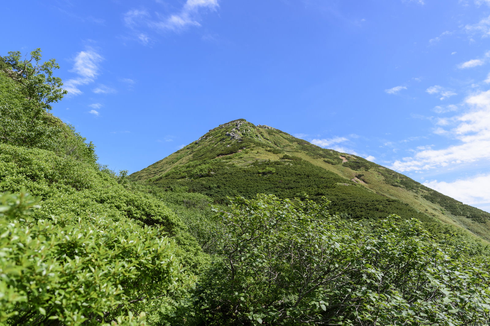 青空の下に緑の植生に覆われた燧ヶ岳の山容が広がる風景