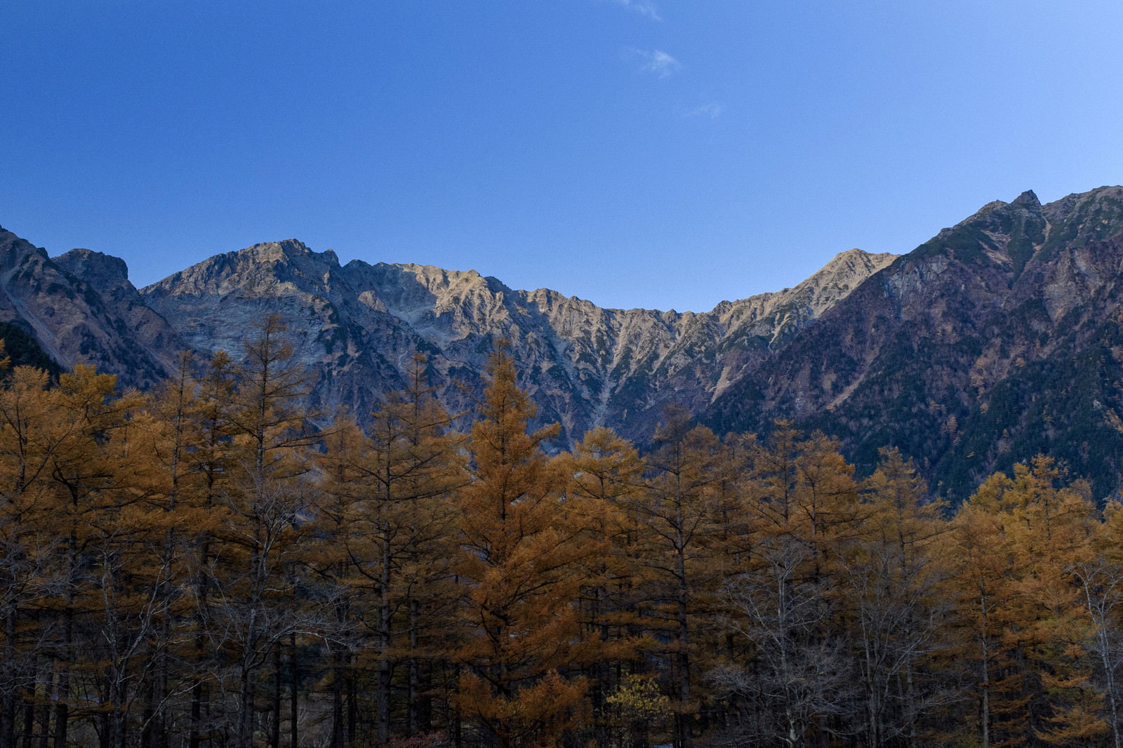 黄金色のカラマツ紅葉と青空に映える穂高岳の山並み