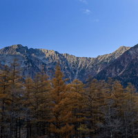 晩秋のカラマツ紅葉と穂高岳を望む北アルプスの写真