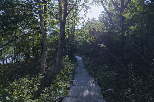 奥尻ヶ原湿原を抜けて燧ヶ岳へと向かう木道