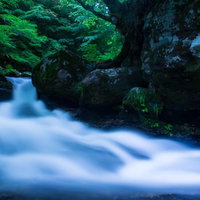 岡山県鏡野町の白賀渓谷を流れる清流と苔むした岩の写真
