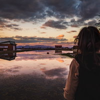 夕暮れのセリ畑で佇む少女の後ろ姿と水鏡に映る夕焼け空の写真