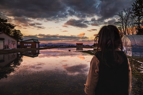 夕暮れのセリ畑で佇む少女の後ろ姿と水鏡に映る夕焼け空