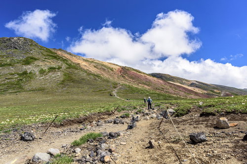 大雪山の登山道を歩く登山者たち・旭岳の山肌を進む