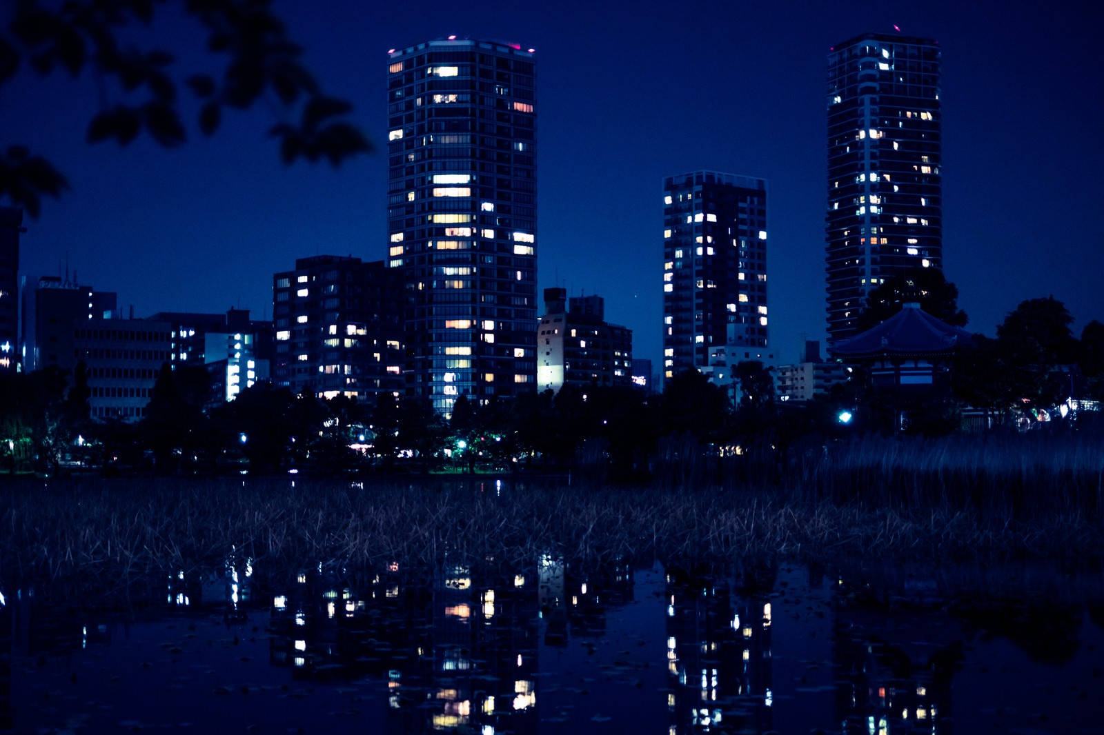 夜の不忍池に映る高層ビル群の明かり