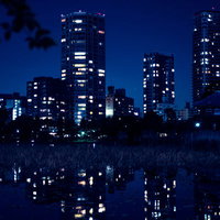 夜の不忍池に映る上野のビル群の明かりと東京の夜景の写真