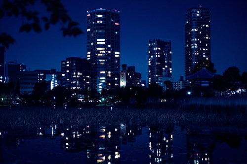 夜の不忍池に映る上野のビル群の明かりと東京の夜景