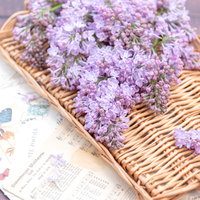 竹製トレーに飾った薄紫のライラックの生花の写真