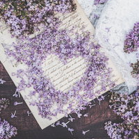 白抜きのハートと紫のライラック、手紙に散る花びらの写真