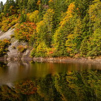 紅葉した木々と秋の太平湖、湖面に映る赤や黄色の景観（秋田県北秋田市）の写真