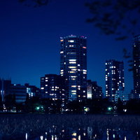 上野の不忍池に映る高層マンションと夜景の水面反射の写真