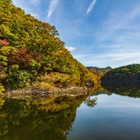 太平湖の湖面に映る秋の紅葉、水鏡に映った森林風景の写真