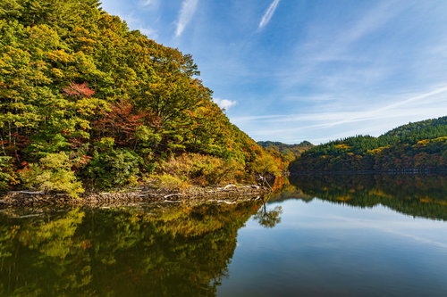 太平湖の湖面に映る秋の紅葉、水鏡に映った森林風景