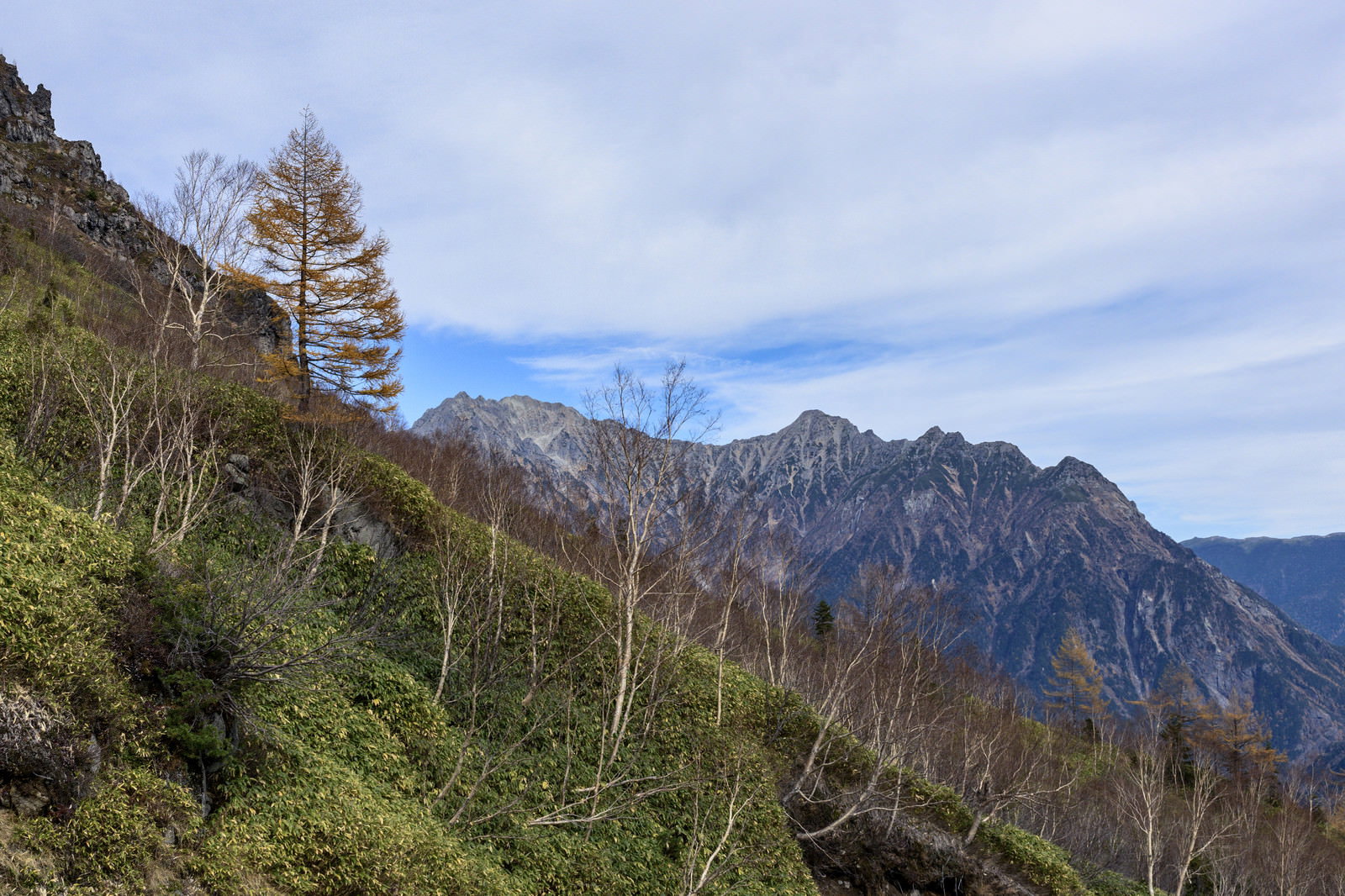 焼岳から撮影した穂高連峰の山並みと青空、手前の緑豊かな植生