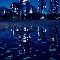 夜の不忍池の水面に映る高層ビルの灯りと都市夜景の写真