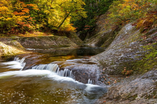 秋の小又峡を流れる紅葉に囲まれた清流と岩場の渓流風景