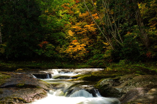 秋田県北秋田市の小又峡で見る紅葉した渓谷と清流