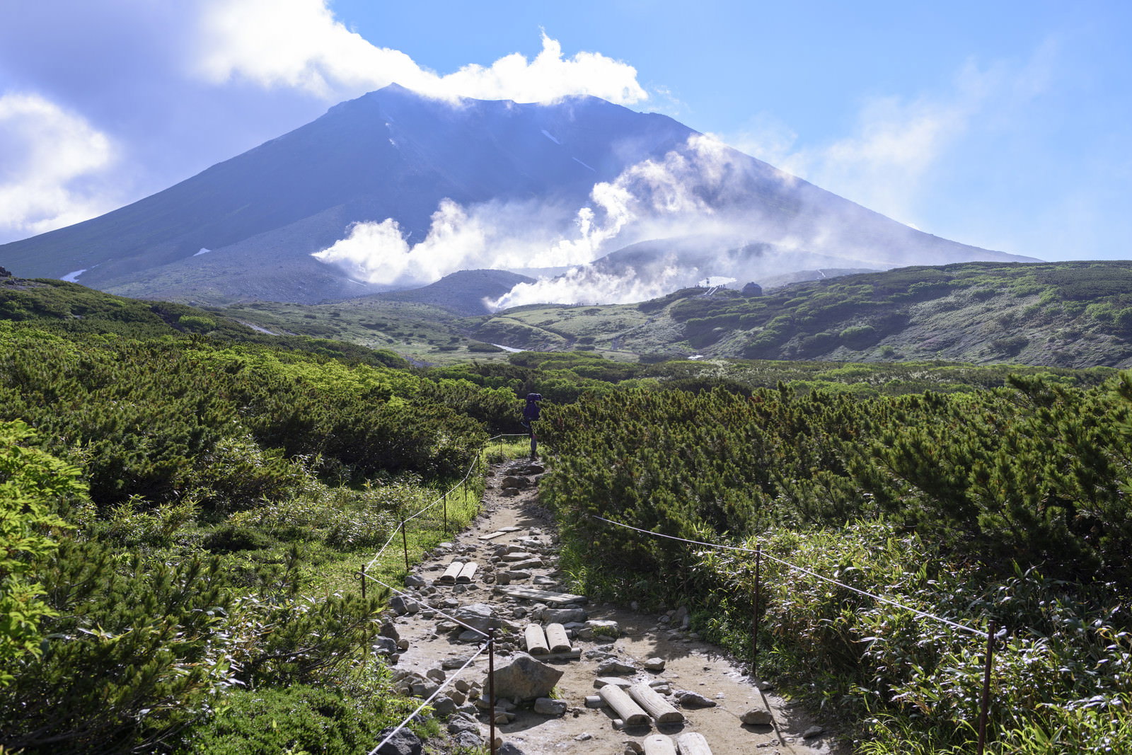 姿見から旭岳へ続く夏の登山道