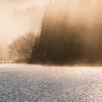 朝靄に降り注ぐ朝日とさざ波立つ湖面の光景の写真