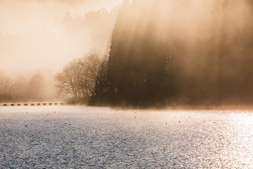 朝靄に降り注ぐ朝日とさざ波立つ湖面の光景