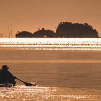 朝日の中を漕ぎ出すカヌーのシルエット、水面がキラキラと輝くの写真