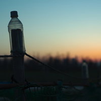 害鳥除けのペットボトルと暮れる夕日、田舎の風景の写真