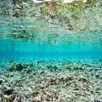 透明度の高い海中から見上げる水面と光が差し込む光景の写真