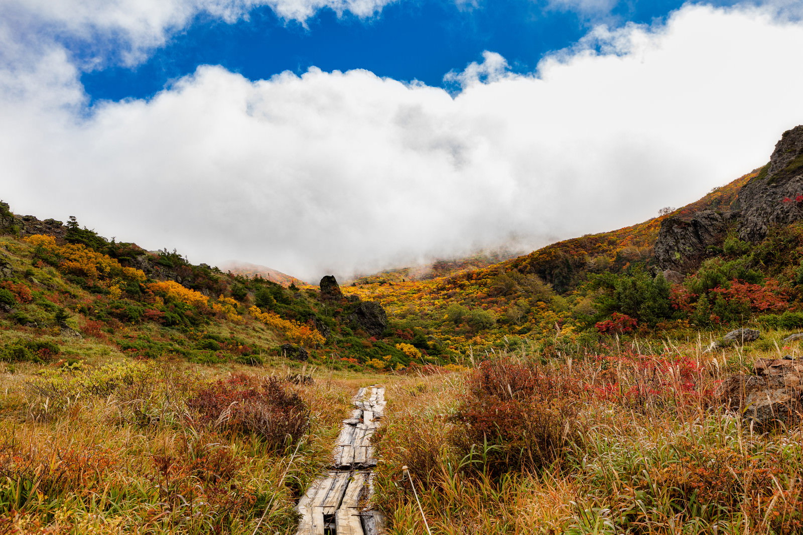 秋の栗駒山で紅葉に囲まれた木道が山の奥へ続く風景