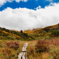 秋の栗駒山へ続く紅葉に囲まれた木道と登山者の写真