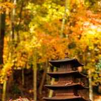 円通院のミニ五重塔と紅葉の写真